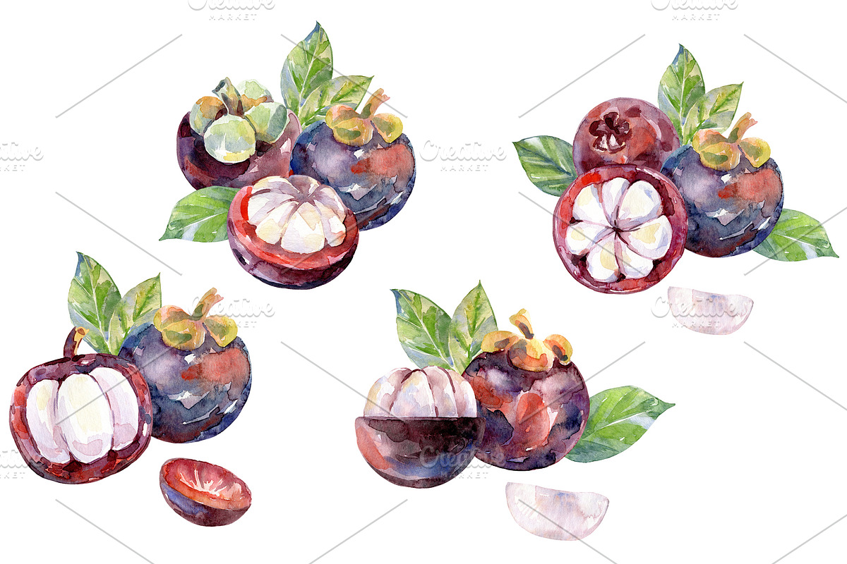 Watercolor tropical fruits., an Illustration by TaPilipa (Photo 24 of 39)