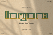 Borgona - Classic Serif Font, a Serif Font by overlaytemplates (Thumbnail 1 of 5)