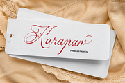 Alventary | Classic Elegant Script, a Script Font by gracetype_studio (Thumbnail 7 of 12)