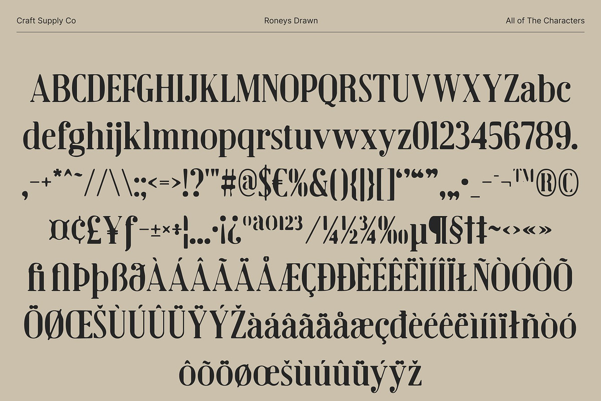 Roneys Drawn, a Serif Font by Craft Supply Co. (Photo 8 of 8)