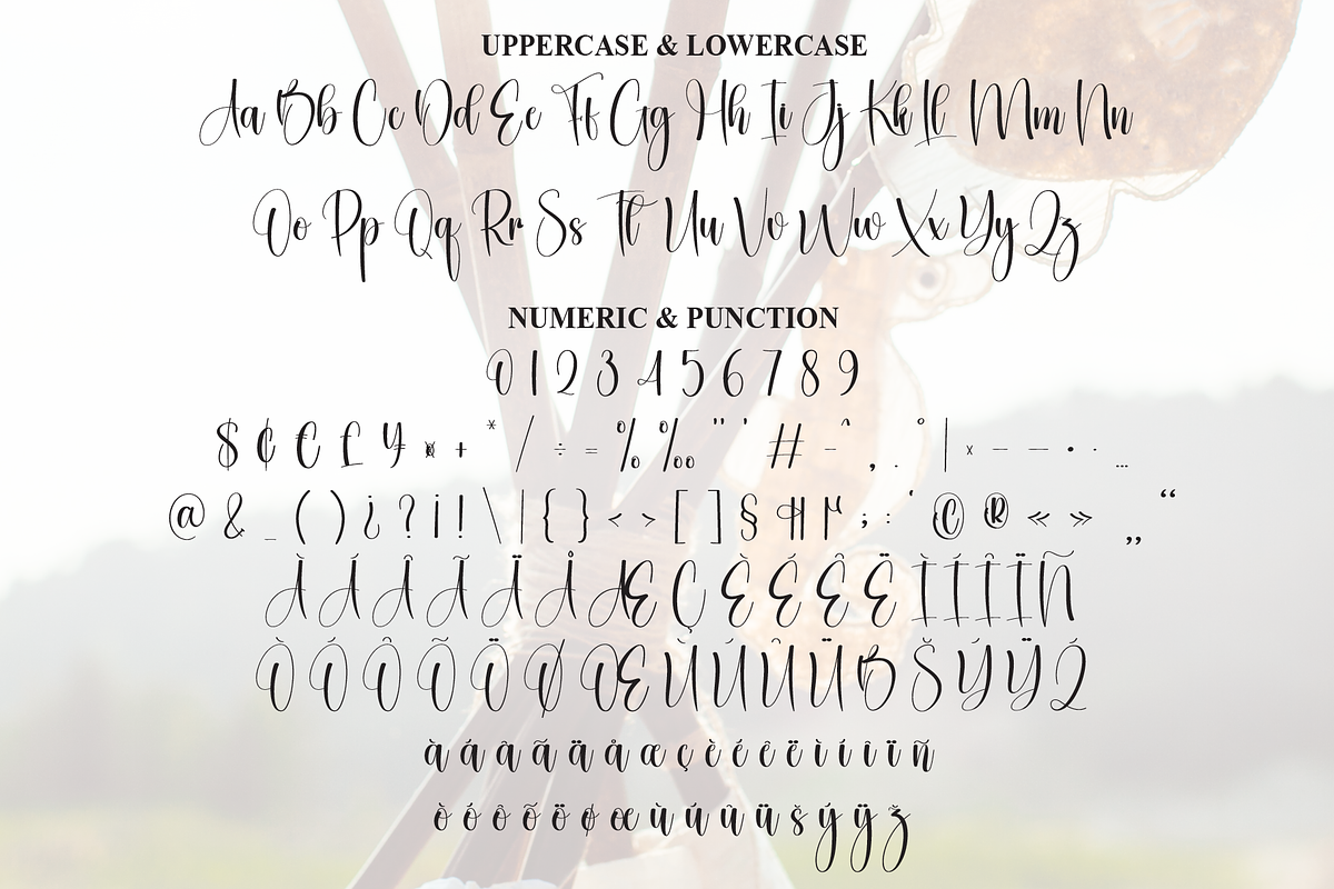 Seahourse | Script Font, a Handwritten Font by Scratchones (Photo 7 of 8)