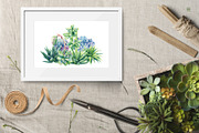 Succulents Botanical Watercolor, a Background Graphic by Hanna Hryharenka (Thumbnail 10 of 15)