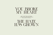 Lovero Modern Serif Font, a Serif Font by Alfinart (Thumbnail 3 of 8)