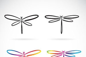 Hand Drawn Doodle Style Dragonfly.