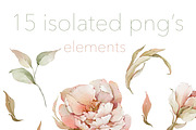 Watercolor peony roses pattern set, a Decorative Illustration by Edith’s World (Thumbnail 6 of 13)