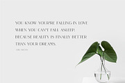 Lusican - Serif Display Font, a Sans Serif Font by Vesvocrea (Thumbnail 2 of 9)