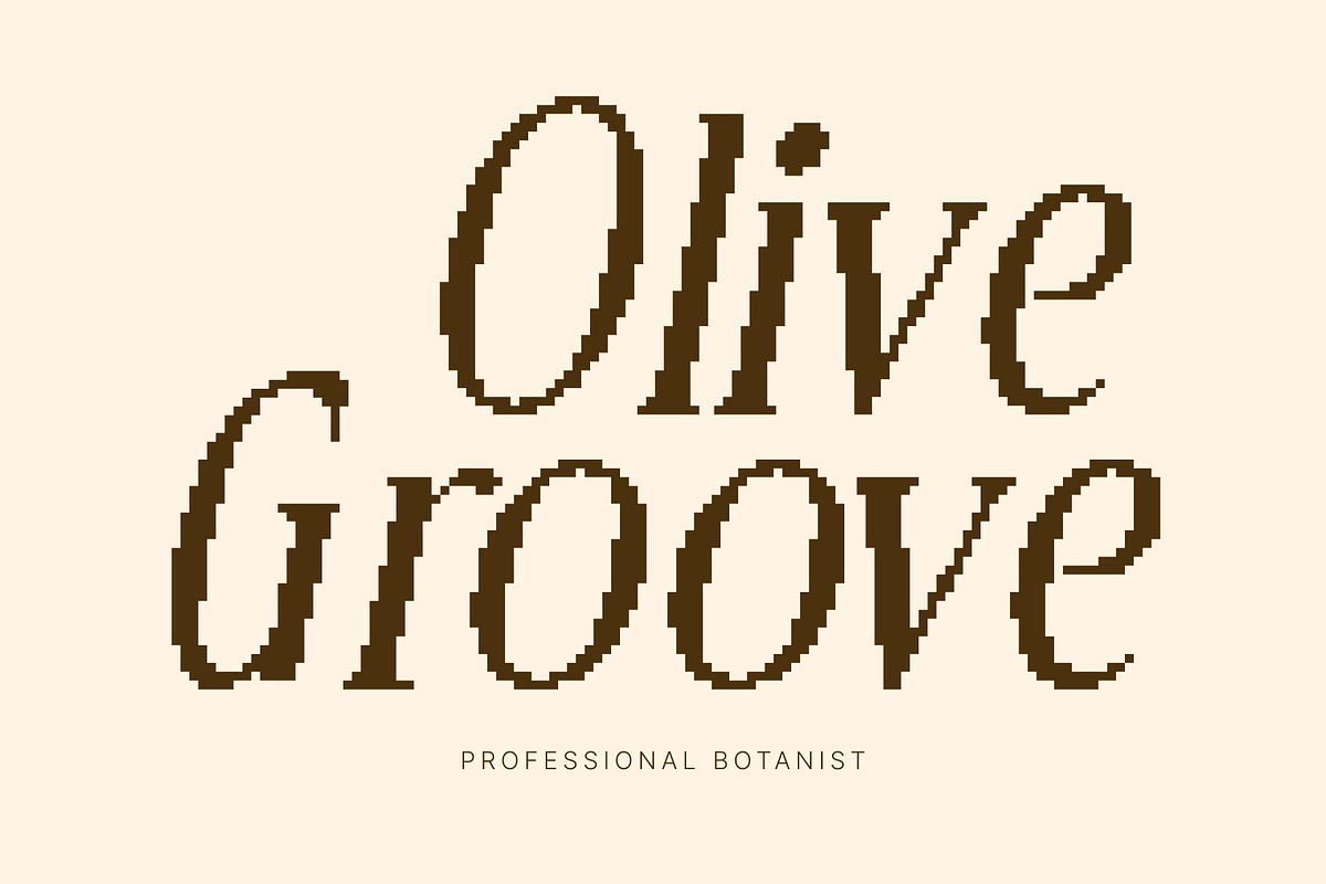 CS Bruna Pixel, a Serif Font by Craft Supply Co. (Photo 3 of 8)