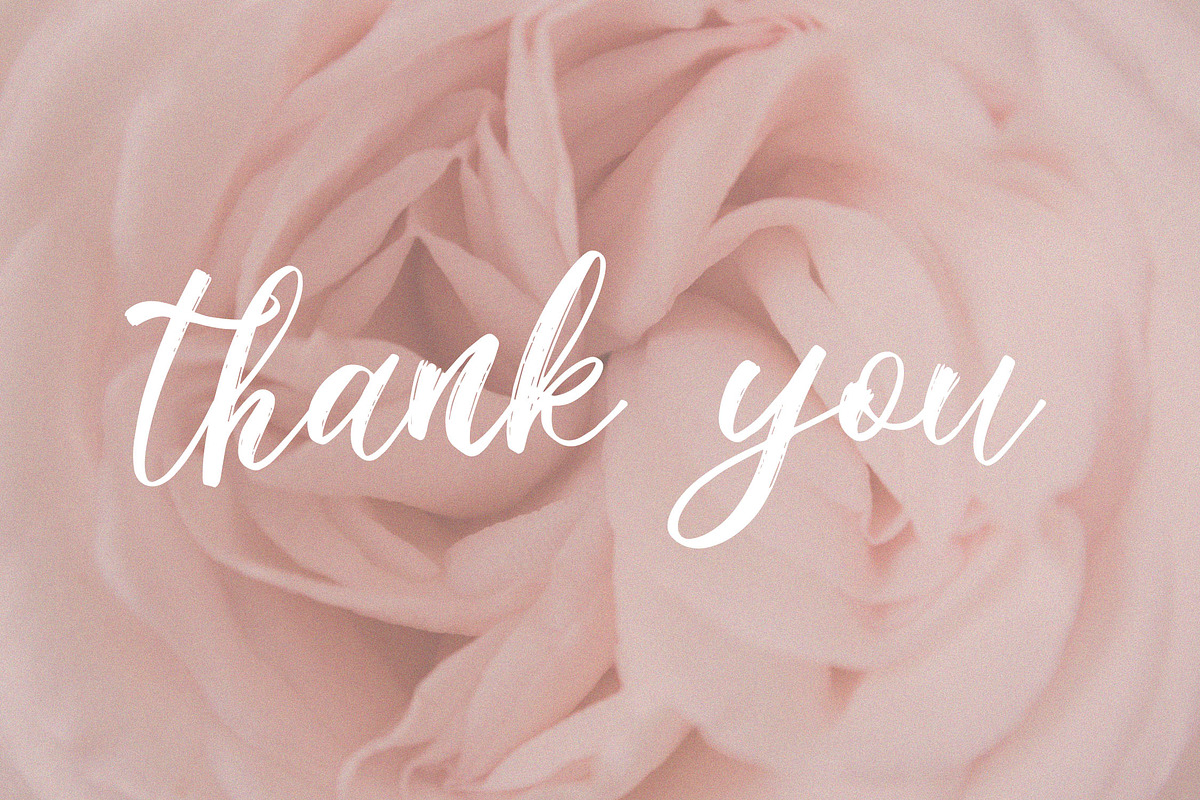 Mellonikha Brush Script Font, a Script Font by NTC Graphic (Photo 9 of 9)