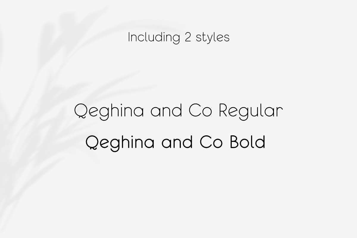 Qeghina and Co, a Sans Serif Font by Sofia Skoog (Photo 5 of 10)