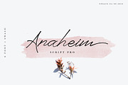 Anaheim script pro font ( update ), a Script Font by Emyself Design (Thumbnail 1 of 12)