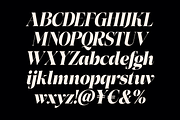 Herald Dongue - Stylish Serif, a Serif Font by Marvadesign (Thumbnail 10 of 12)
