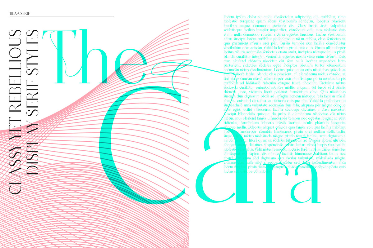 Tilaa Serif -Ligature Typeface, a Serif Font by Ryul Davidson (Photo 9 of 13)