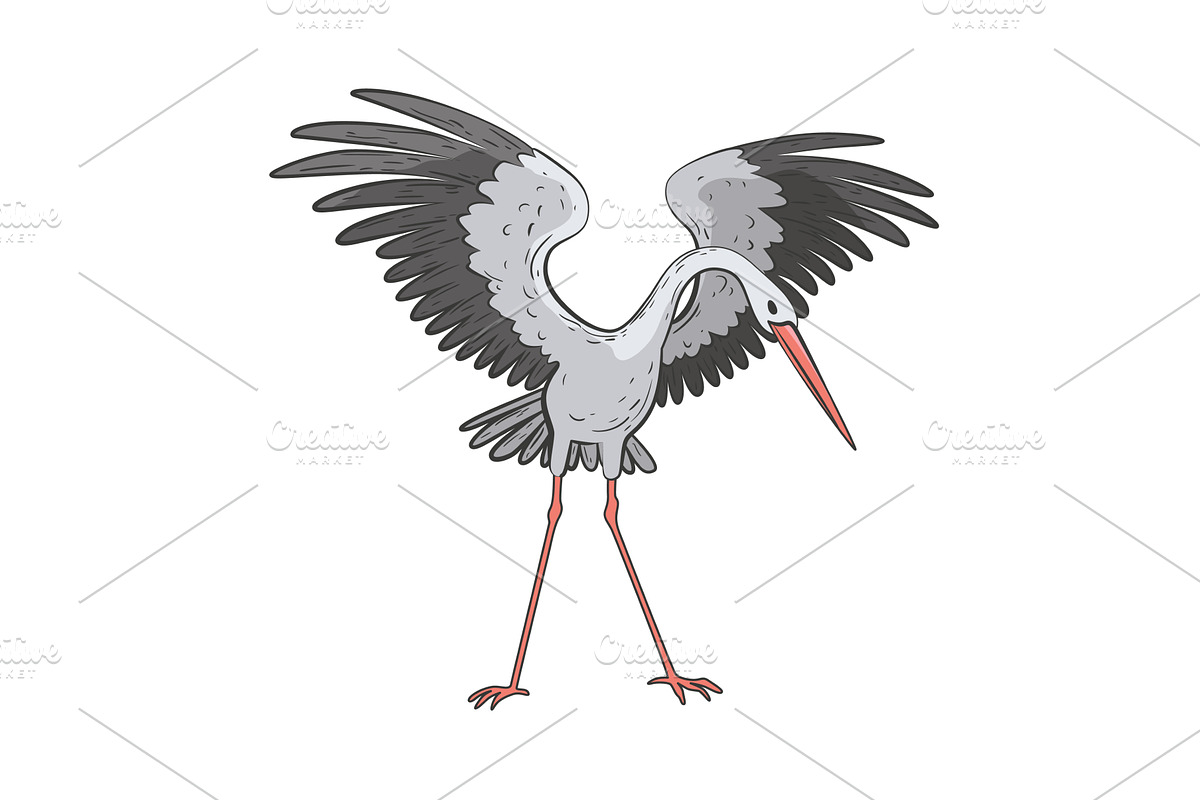Crane bird in realistic style, an Animal Illustration by Things for designers