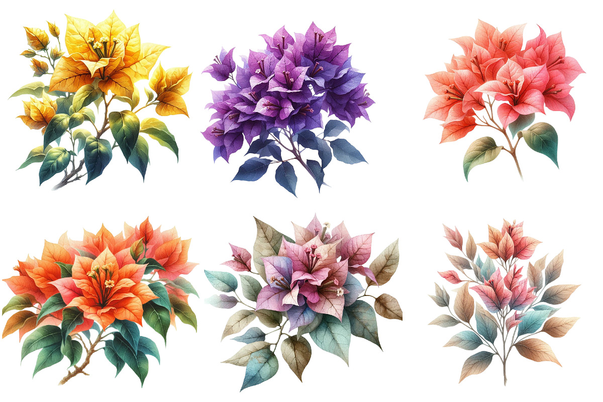 Bougainvillea Flower Clipart Bundle, an Illustration by Watercolor design (Photo 2 of 4)