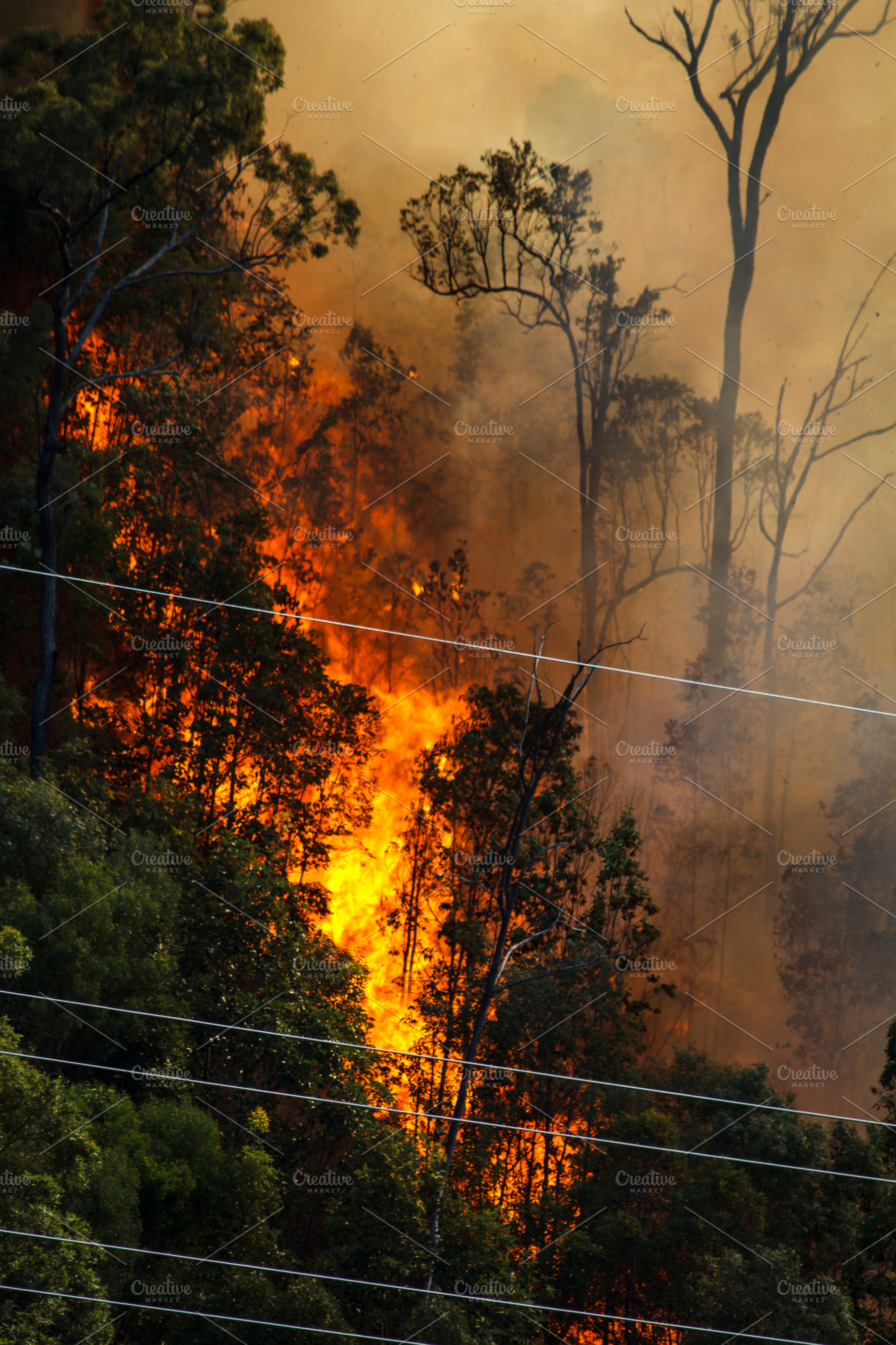 Bushfire Near Power Lines