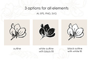 Apple blossom & fruit. Vector set, a Decorative Illustration by ON_lineart_store (Thumbnail 4 of 12)
