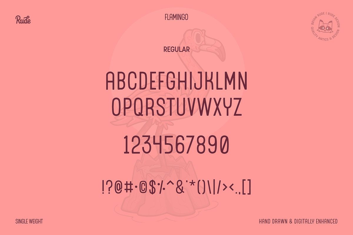 Flamingo Display Font, a Sans Serif Font by bryrude (Photo 4 of 4)