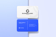 Business Card Presentation Kit, an Advertising Mockup by graphypix (Thumbnail 13 of 13)