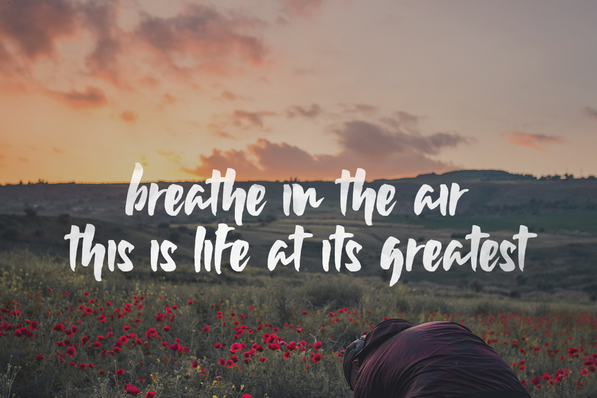 Wildflower Font preview 2