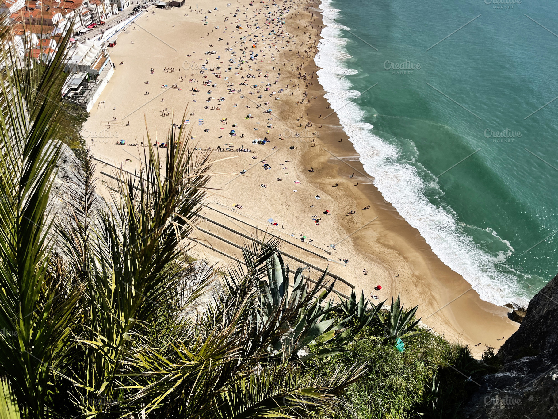 Panoramic view of Nazare beach with lush vegetation from a high vantage point, a Photo by AS photostudio