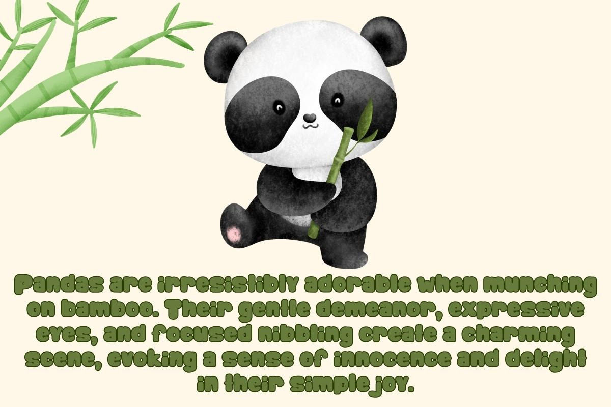 Happy Bamboo - Handwritting, a Blackletter Font by Charmingbear59.design (Photo 2 of 5)