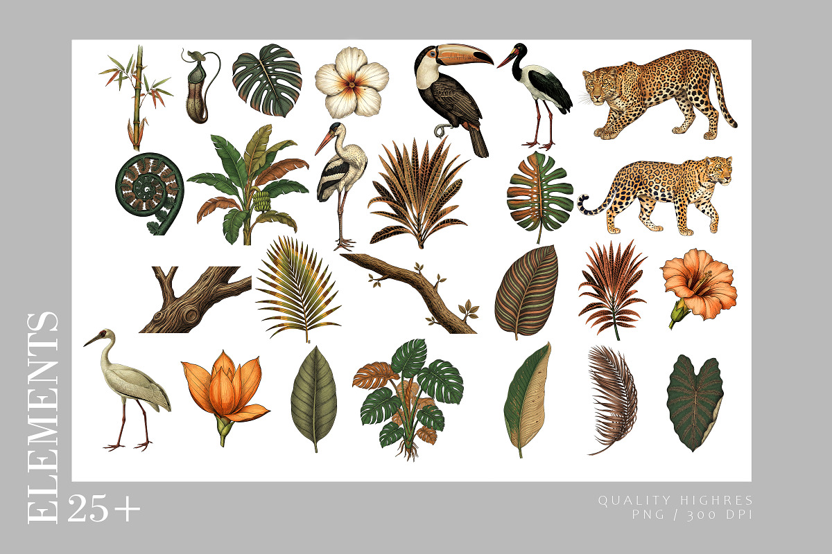 Tropical Wildlife Pattern & Motifs!, a Pattern Graphic by Luiz da Rolt Grathwohl (Photo 4 of 16)