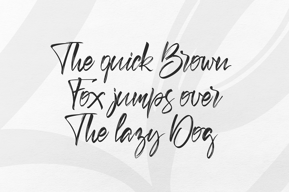 Berus. Handwritten brush Font, a Script Font by DenBrush Studio (Photo 4 of 4)