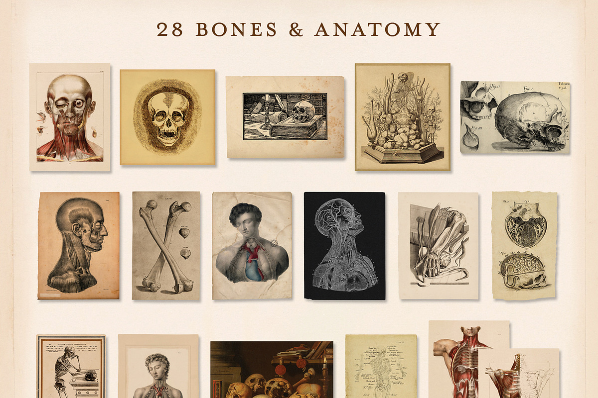 175 Vintage Halloween Ephemera, an Object Graphic by The Object Atlas (Photo 8 of 13)