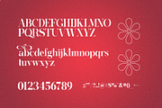 Hubein Kamaru Elegant Ligature Font, a Serif Font by Graphicxell (Thumbnail 17 of 22)