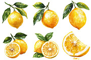 Watercolor Flavorful Lemon Clipart, an Illustration by Craft Nest (Thumbnail 5 of 5)