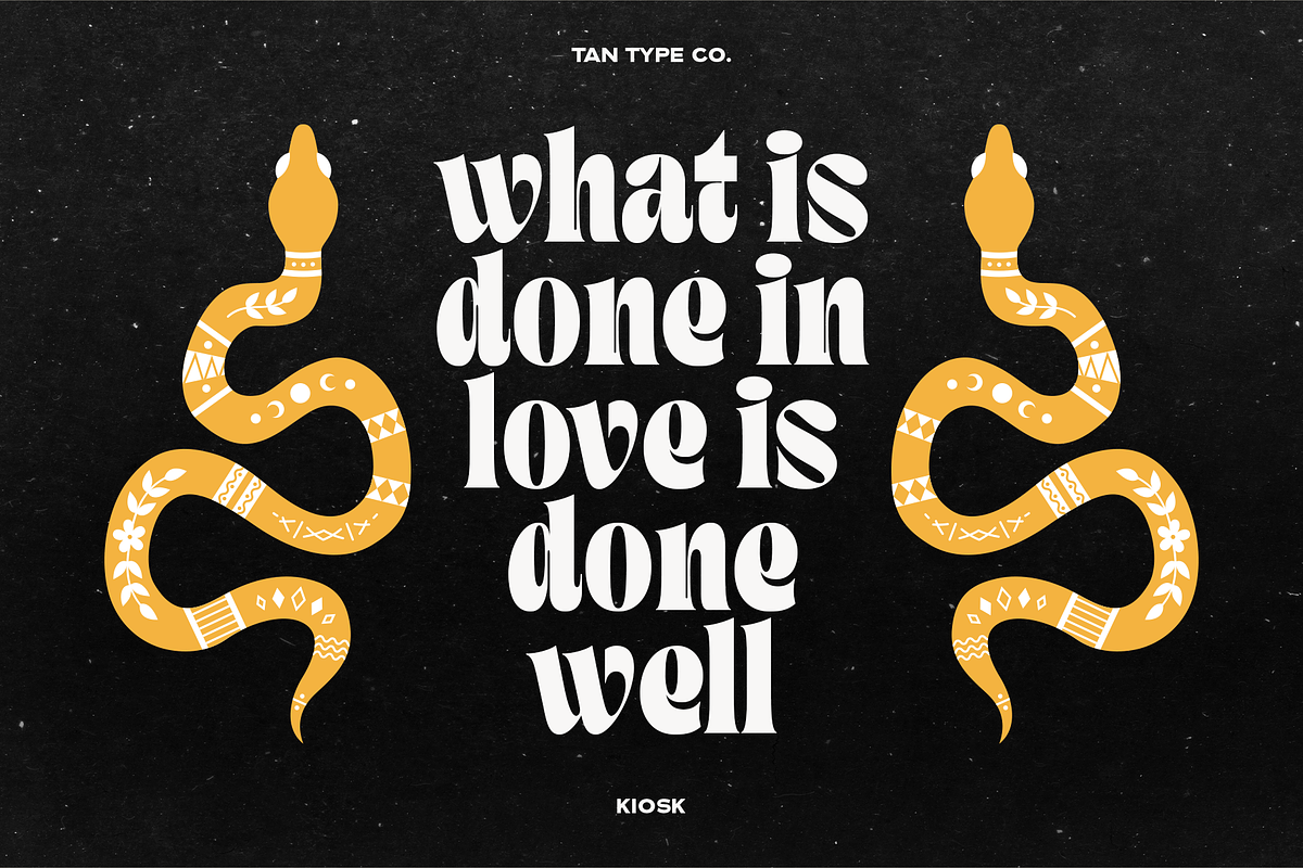 TAN - KIOSK, a Serif Font by TanType (Photo 4 of 16)
