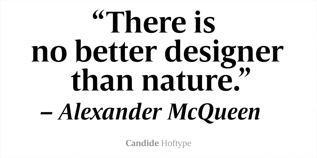 Candide, a Serif Font by Hoftype (Photo 2 of 16)