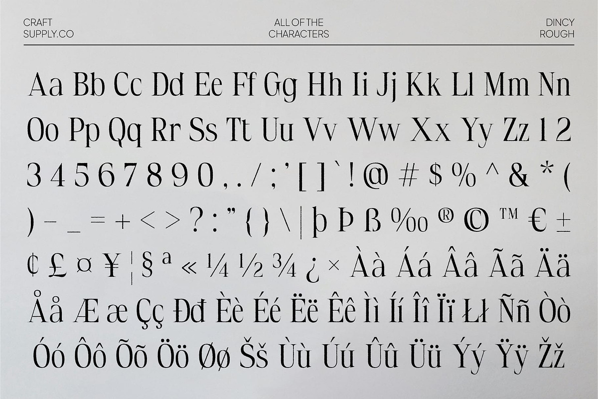 Dincy Rough, a Serif Font by Craft Supply Co. (Photo 8 of 8)