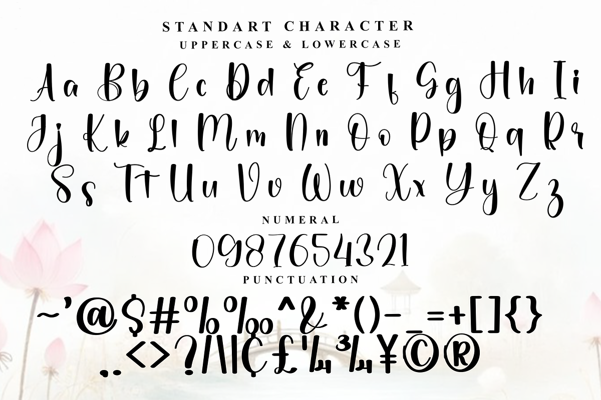 Delightful, a Handwritten Font by InermediaSTUDIO (Photo 4 of 7)