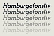 HAUS Sans Bold, a Sans Serif Font by MARTINI Type Designer (Thumbnail 3 of 5)