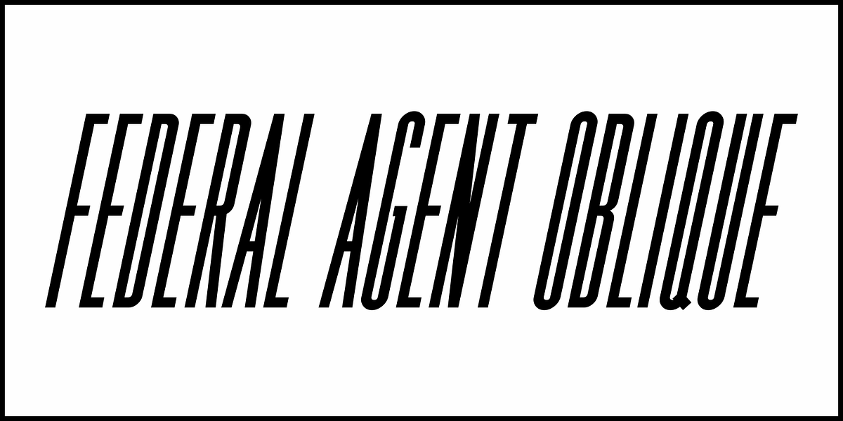 Federal Agent JNL, a Sans Serif Font by Jeff Levine Fonts (Photo 4 of 5)