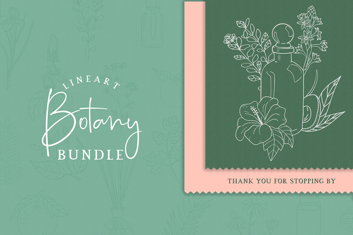 BOTANY BUNDLE - 6in1, a Food Illustration by amber&ink (Photo 19 of 19)