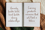 Pelanque Sparkle, a Script Font by Integritype Studio (Thumbnail 8 of 15)