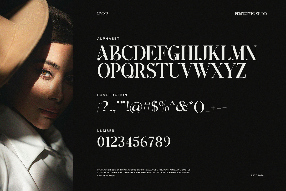 Magnis Unique Serif Font, a Serif Font by Perfectype (Photo 8 of 8)