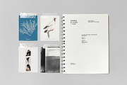 Office Collage Mockups, a Mockup by nkate (Thumbnail 8 of 18)