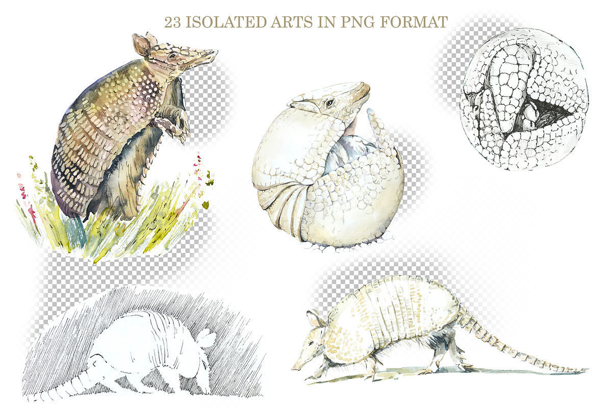 Watercolor Wild Animals, an Animal Illustration by Budogoshch (Photo 4 of 5)