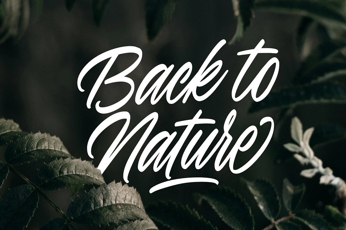 Madeleine Stories, a Handwritten Font by Damarletter (Photo 8 of 8)