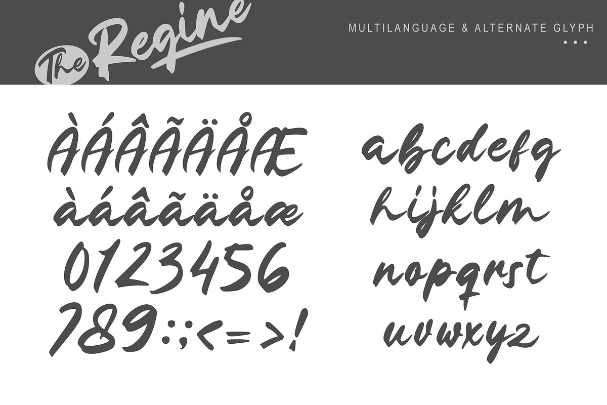 The Regine || Signature Font, a Script Font by Rochart (Photo 10 of 11)