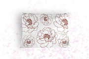 30% OFF - Peonies and succulents., a Decorative Illustration by Funny-sunny (Thumbnail 5 of 12)