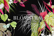 Blómstra, Luxury Spring 2021 Prints!, a Pattern Graphic by Pink Linen (Thumbnail 1 of 14)