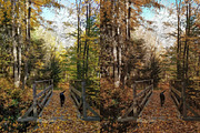 15 Moody Fall Lightroom Presets, a Preset Add-On by TheWayfarerShoppe (Thumbnail 5 of 8)