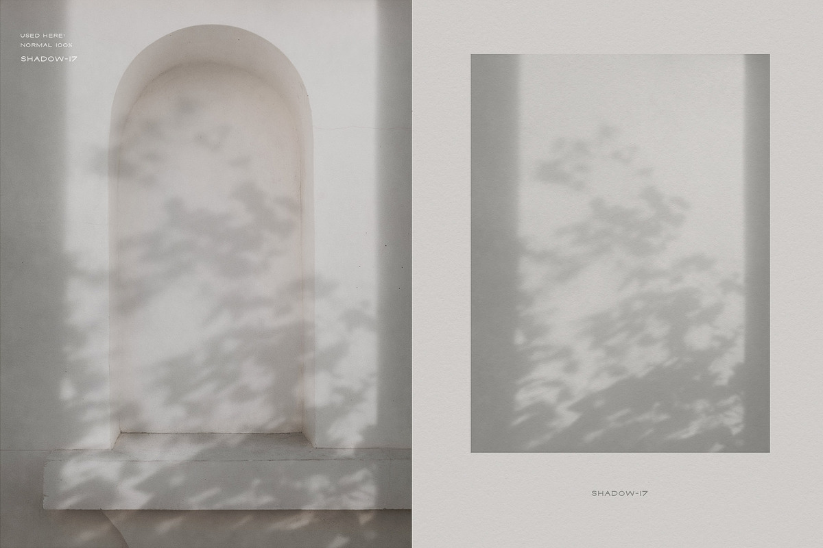 Dappled - Botanical Shadow Overlays, a Texture Graphic by alonahaidash (Photo 14 of 16)