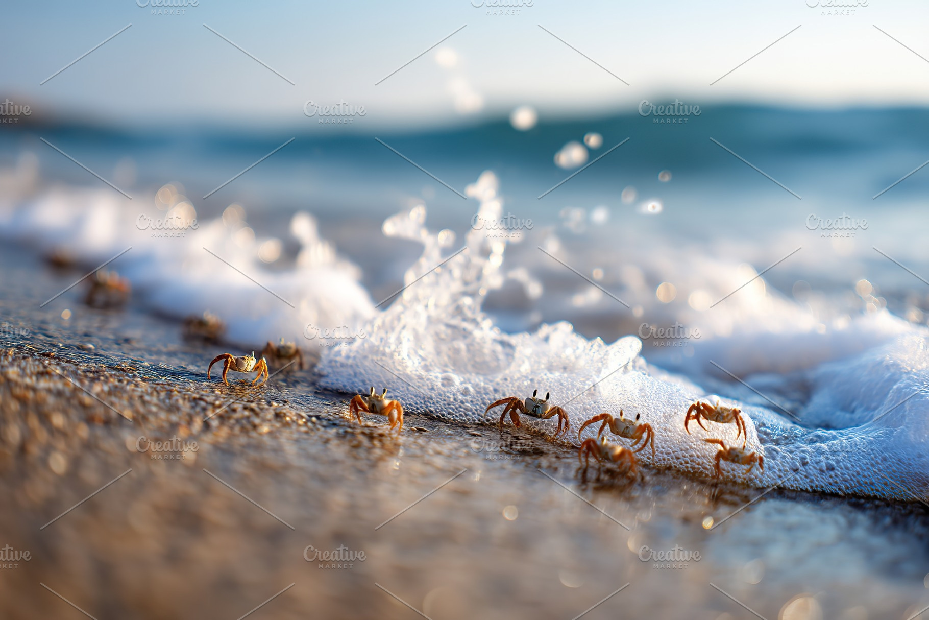 Tiny crabs navigate the shoreline as waves crash gently during golden hour, a Photo by AlyaAnd