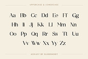 Aeriast Serif Font, a Serif Font by Idea Studio (Thumbnail 7 of 12)