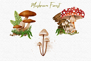 Mushroom Forest watercolor clipart, a Decorative Illustration by AkiraVilla (Thumbnail 4 of 11)